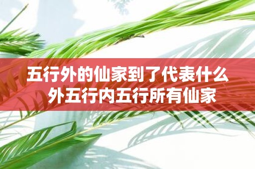 五行外的仙家到了代表什么 外五行内五行所有仙家