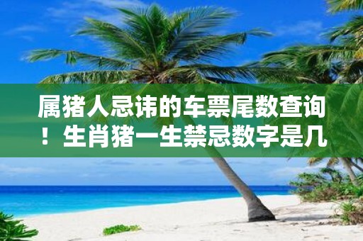 属猪人忌讳的车票尾数查询！生肖猪一生禁忌数字是几