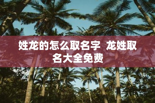 姓龙的怎么取名字 龙姓取名大全免费