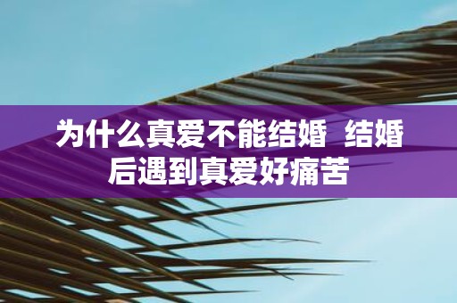 为什么真爱不能结婚 结婚后遇到真爱好痛苦