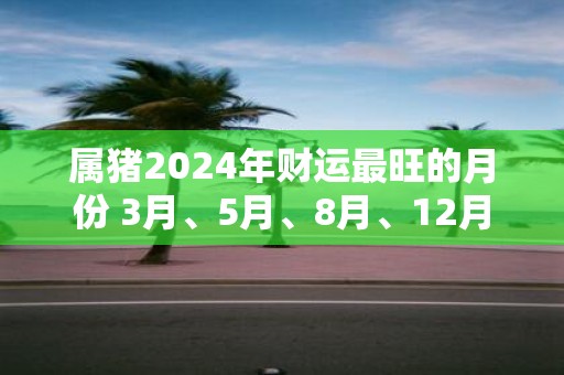 属猪2025年财运最旺的月份 3月、5月、8月、12月