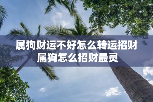 属狗财运不好怎么转运招财 属狗怎么招财最灵