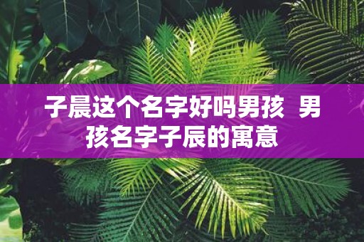 子晨这个名字好吗男孩 男孩名字子辰的寓意