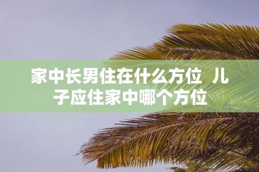 家中长男住在什么方位 儿子应住家中哪个方位