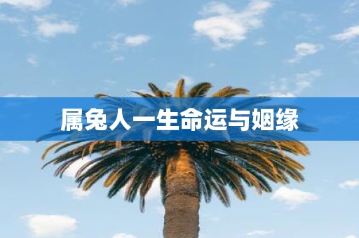 属兔人一生命运与姻缘