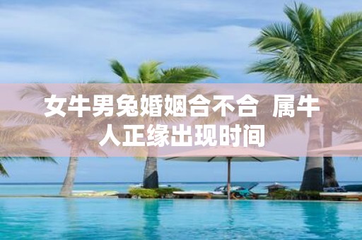 女牛男兔婚姻合不合 属牛人正缘出现时间