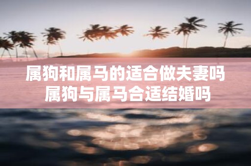 属狗和属马的适合做夫妻吗 属狗与属马合适结婚吗