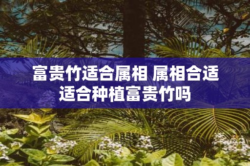 富贵竹适合属相 属相合适适合种植富贵竹吗