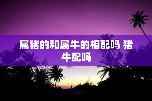 属猪的和属牛的相配吗 猪牛配吗