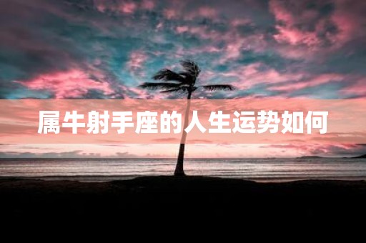 属牛射手座的人生运势如何