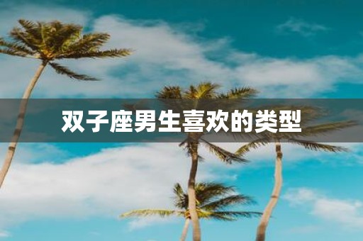 双子座男生喜欢的类型