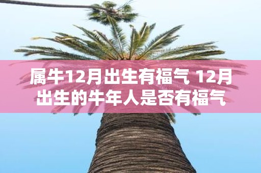 属牛12月出生有福气 12月出生的牛年人是否有福气