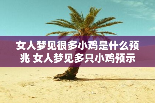 女人梦见很多小鸡是什么预兆 女人梦见多只小鸡预示什么