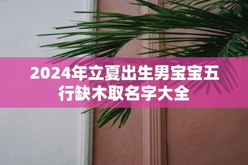 2025年立夏出生男宝宝五行缺木取名字大全