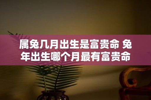 属兔几月出生是富贵命 蛇年出生哪个月最有富贵命