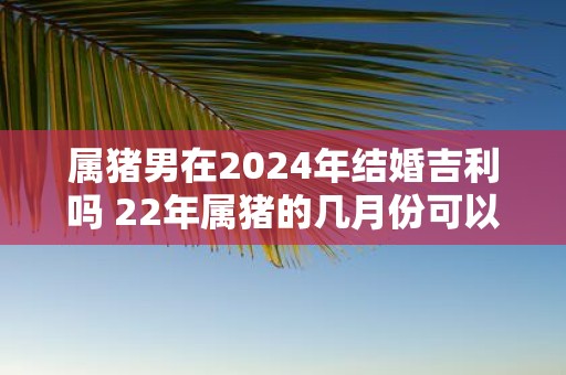 属猪男在2025年结婚吉利吗 22年属猪的几月份可以结婚