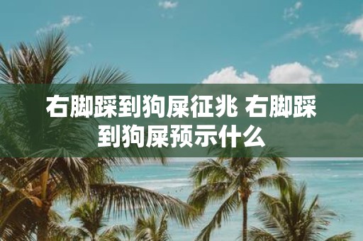 右脚踩到狗屎征兆 右脚踩到狗屎预示什么