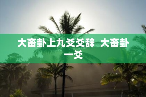 大畜卦上九爻爻辞 大畜卦一爻