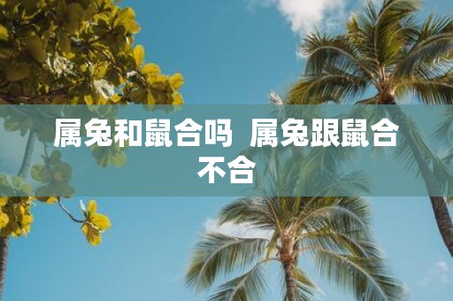 属兔和鼠合吗 属兔跟鼠合不合
