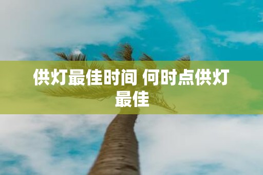 供灯最佳时间 何时点供灯最佳