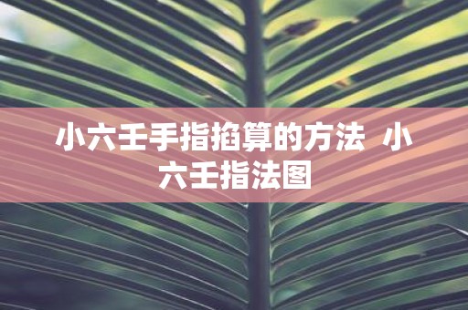 小六壬手指掐算的方法 小六壬指法图