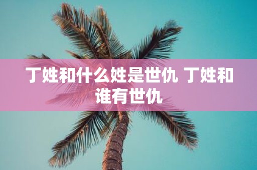 丁姓和什么姓是世仇 丁姓和谁有世仇