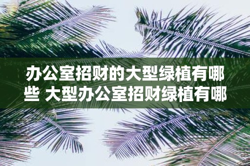 办公室招财的大型绿植有哪些 大型办公室招财绿植有哪些
