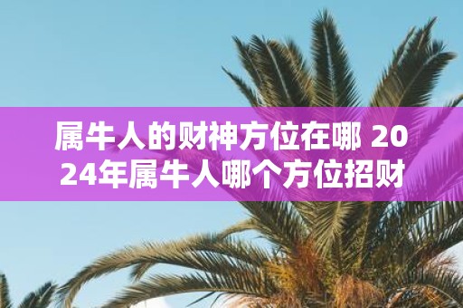 属牛人的财神方位在哪 2025年属牛人哪个方位招财