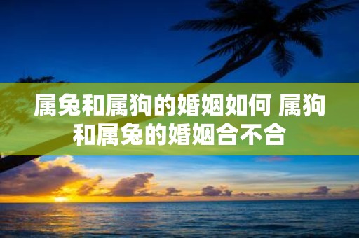 属兔和属狗的婚姻如何 属狗和属兔的婚姻合不合