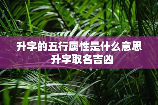 升字的五行属性是什么意思 升字取名吉凶