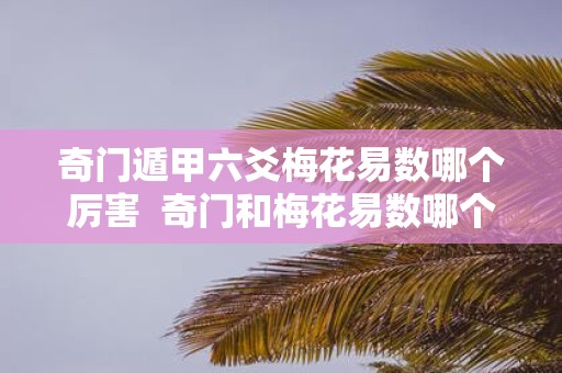 奇门遁甲六爻梅花易数哪个厉害 奇门和梅花易数哪个准