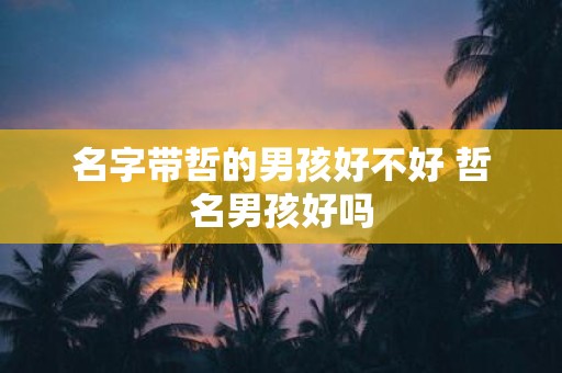 名字带哲的男孩好不好 哲名男孩好吗