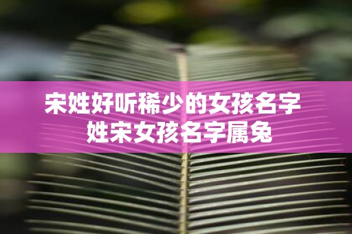 宋姓好听稀少的女孩名字 姓宋女孩名字属兔