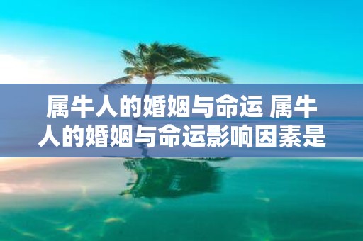 属牛人的婚姻与命运 属牛人的婚姻与命运影响因素是什么