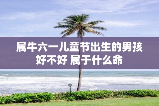 属牛六一儿童节出生的男孩好不好 属于什么命