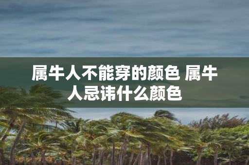 属牛人不能穿的颜色 属牛人忌讳什么颜色