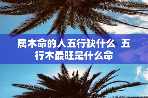 属木命的人五行缺什么 五行木最旺是什么命