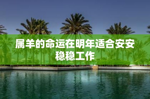 属羊的命运在明年适合安安稳稳工作