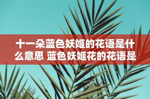 十一朵蓝色妖姬的花语是什么意思 蓝色妖姬花的花语是什么