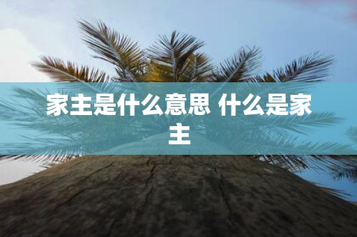 家主是什么意思 什么是家主