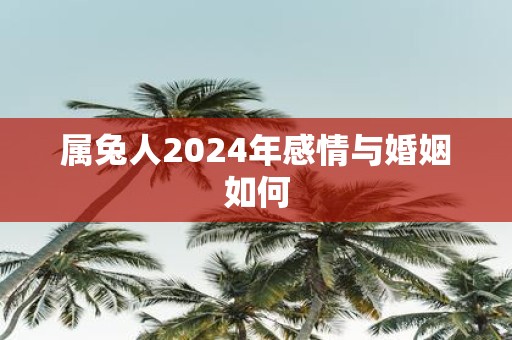 属兔人2025年感情与婚姻如何