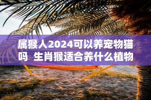 属猴人2025可以养宠物猫吗 生肖猴适合养什么植物