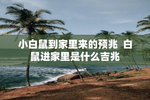 小白鼠到家里来的预兆 白鼠进家里是什么吉兆