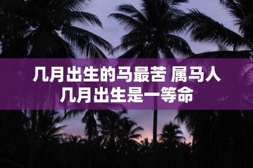 几月出生的马最苦 属马人几月出生是一等命