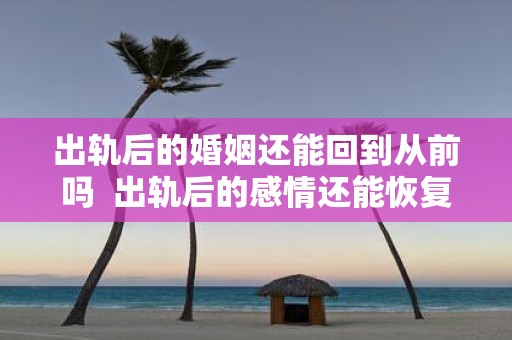 出轨后的婚姻还能回到从前吗 出轨后的感情还能恢复吗