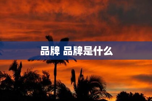 品牌 品牌是什么