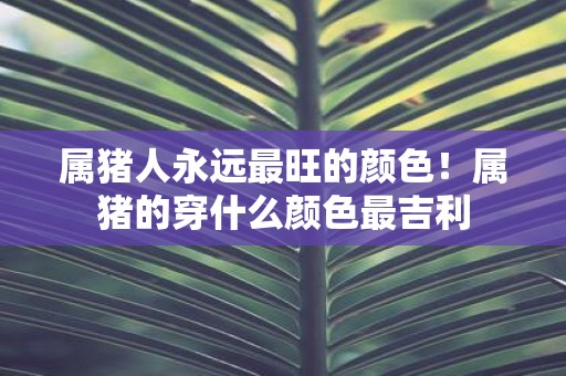属猪人永远最旺的颜色！属猪的穿什么颜色最吉利