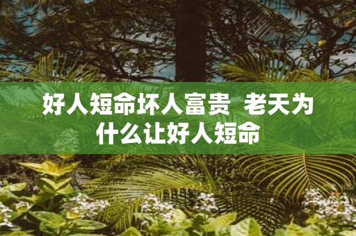 好人短命坏人富贵 老天为什么让好人短命