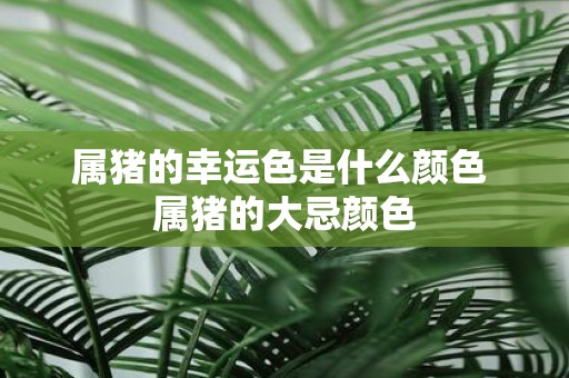 属猪的幸运色是什么颜色 属猪的大忌颜色