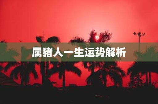 属猪人一生运势解析